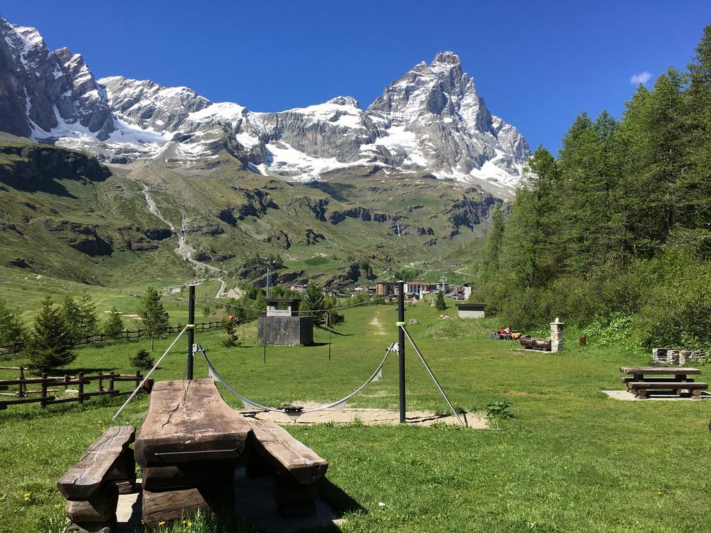 Les Jumeaux