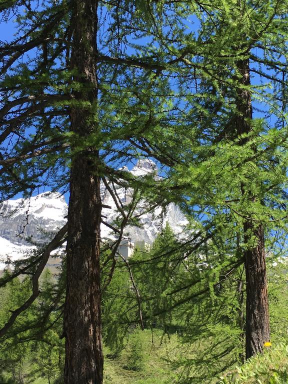 Les Jumeaux * Breuil-Cervinia