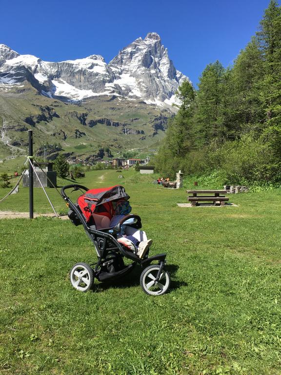 Les Jumeaux Apartment Breuil-Cervinia