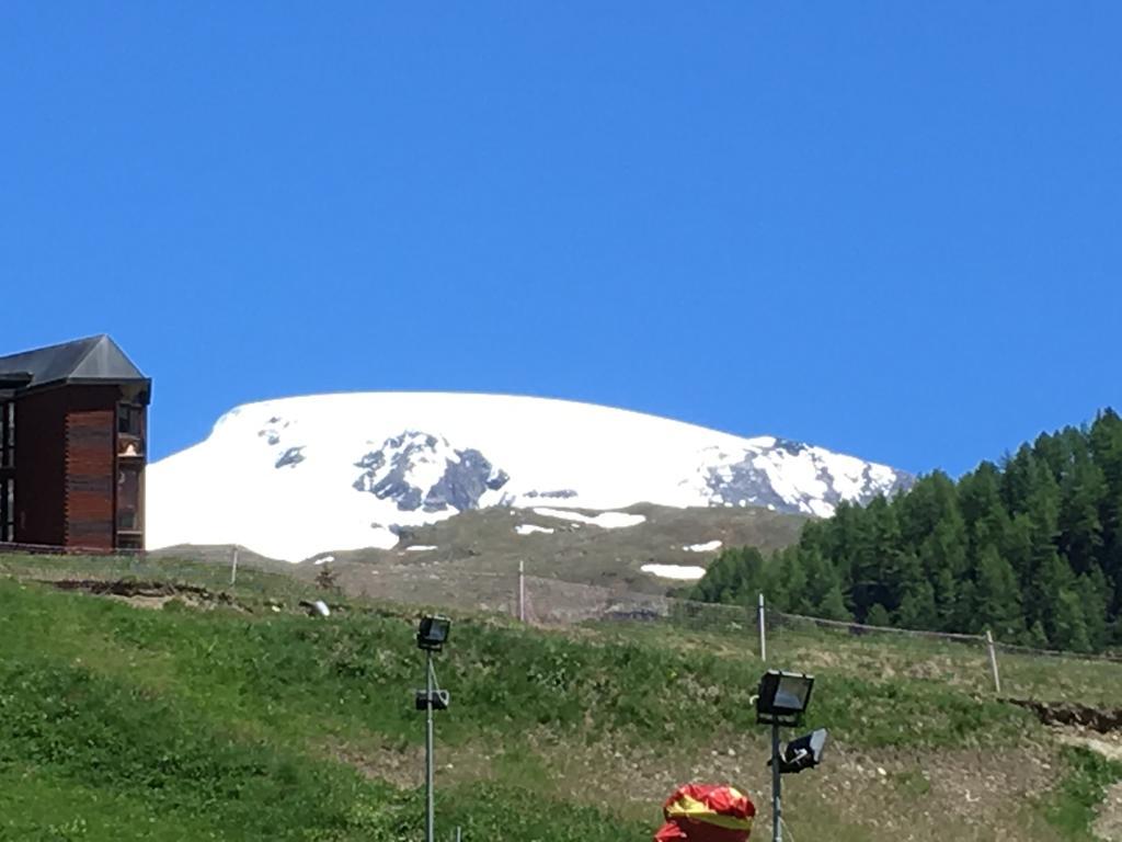 Les Jumeaux